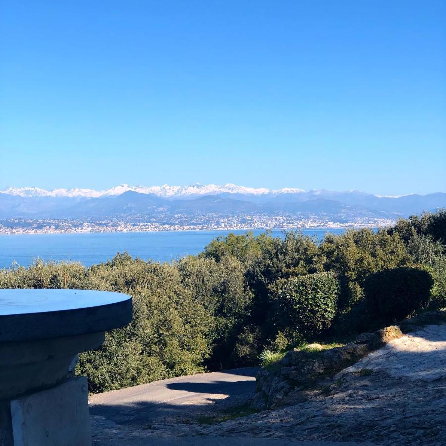 Charming And Modernly Designed 2 Bedroom - Old Town Antibes Kültér fotó